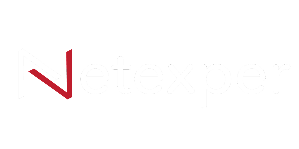 NetExper - B2B IT Lead Generation & Paid Ads Performance Campaign